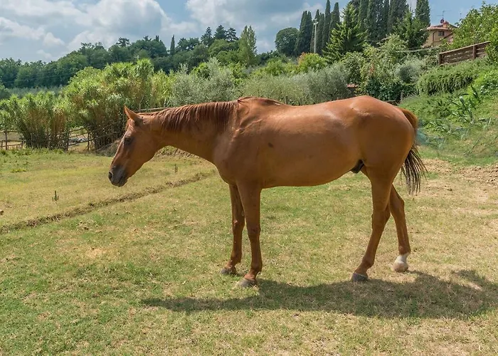 Casa Elia 6, Emma 别墅 *